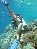 Diving beauty strips underwater