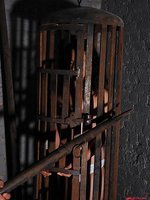 Bound naked Bianka spanked in cage