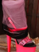 Angel in pink colored stockings over black hose