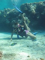 Diving beauty strips underwater